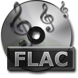 Gray Simple FLAC Lossless File free Stock PNG Icon for Web-Design